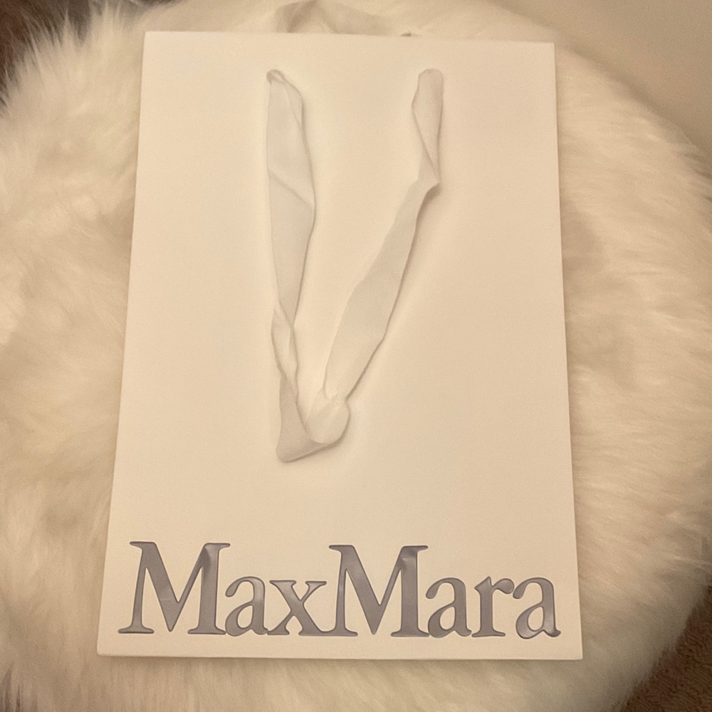 MaxMara shopping bag(3 items for $15)